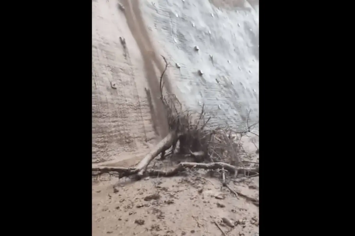 Foto: Captura de video