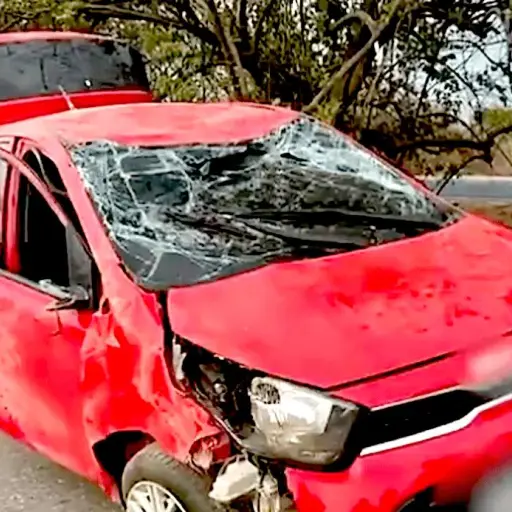 Captura de pantalla video. 