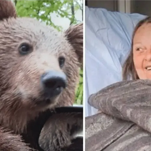 mujer-casi-pierde-la-mano-tras-ataque-de-oso ,
