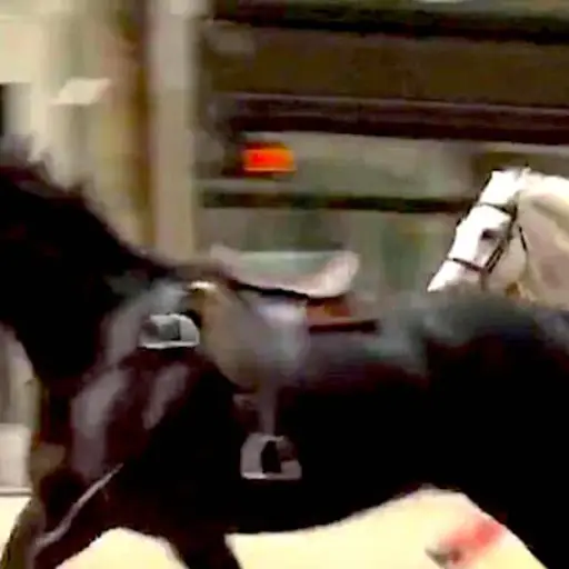 Captura de pantalla video. 