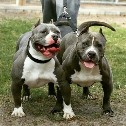 Imagen con fines ilustrativos 