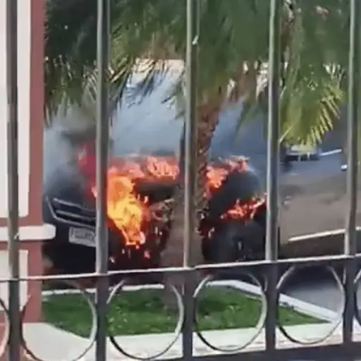 Captura de pantalla video. 