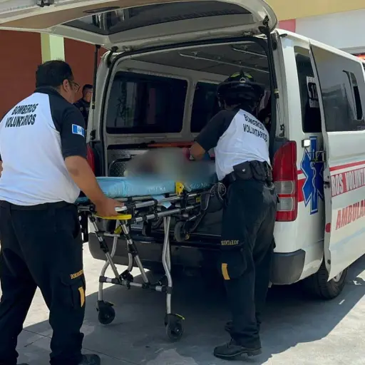 Ataque de perro en la capital ,