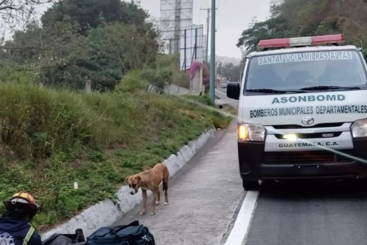 Foto: Bomberos Municipales Departamentales