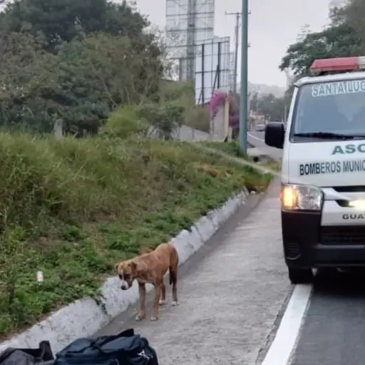 Foto: Bomberos Municipales Departamentales