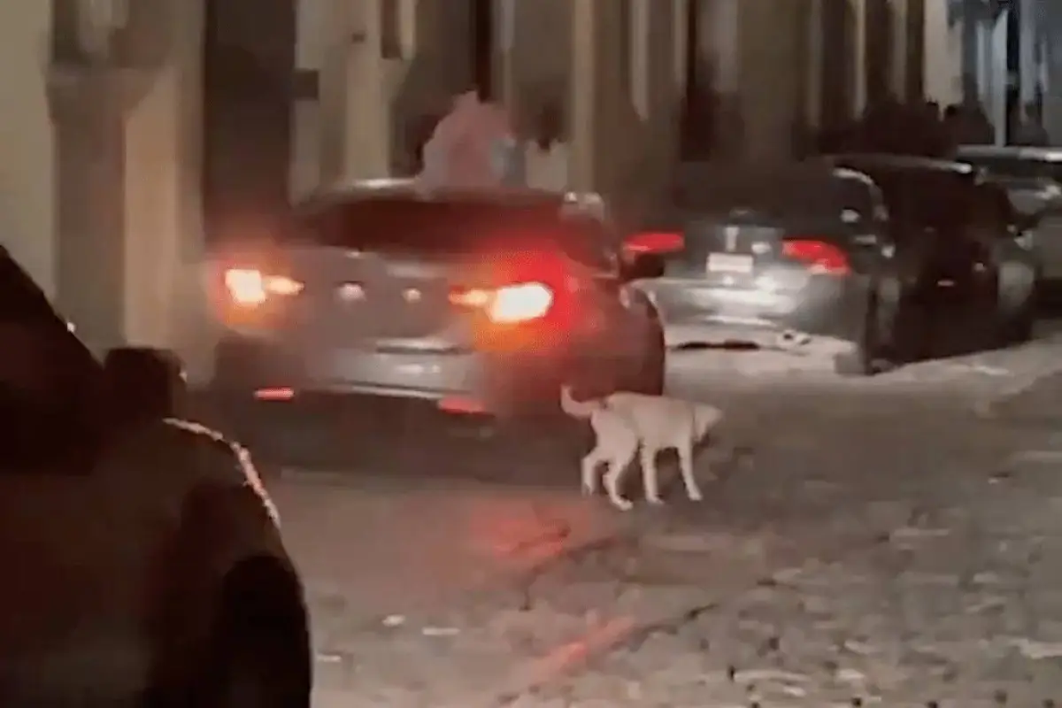 Captura de pantalla video.