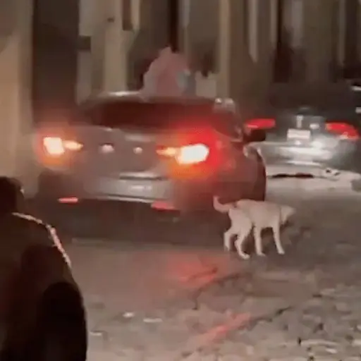 Captura de pantalla video. 