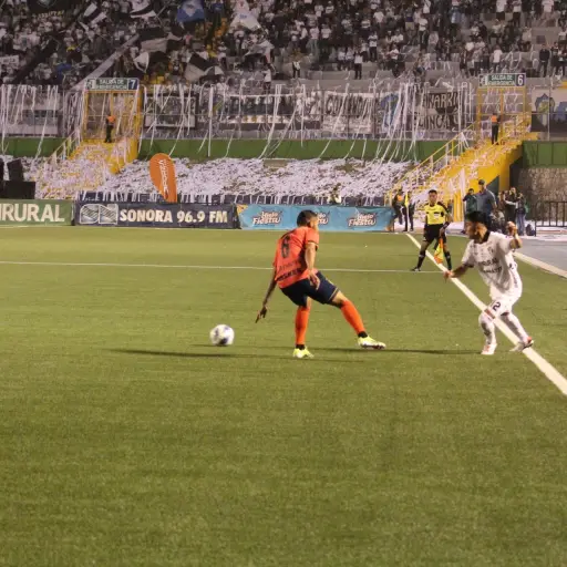 Foto: Christoper Chang