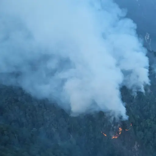 incendio en la Sierra de las Minas ,