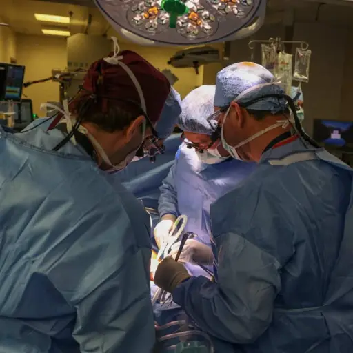 muere-hombre-trasplante-rinon-de-cerdo ,