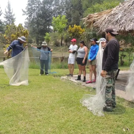 Limpieza del lago por parte de AMSA version web ,