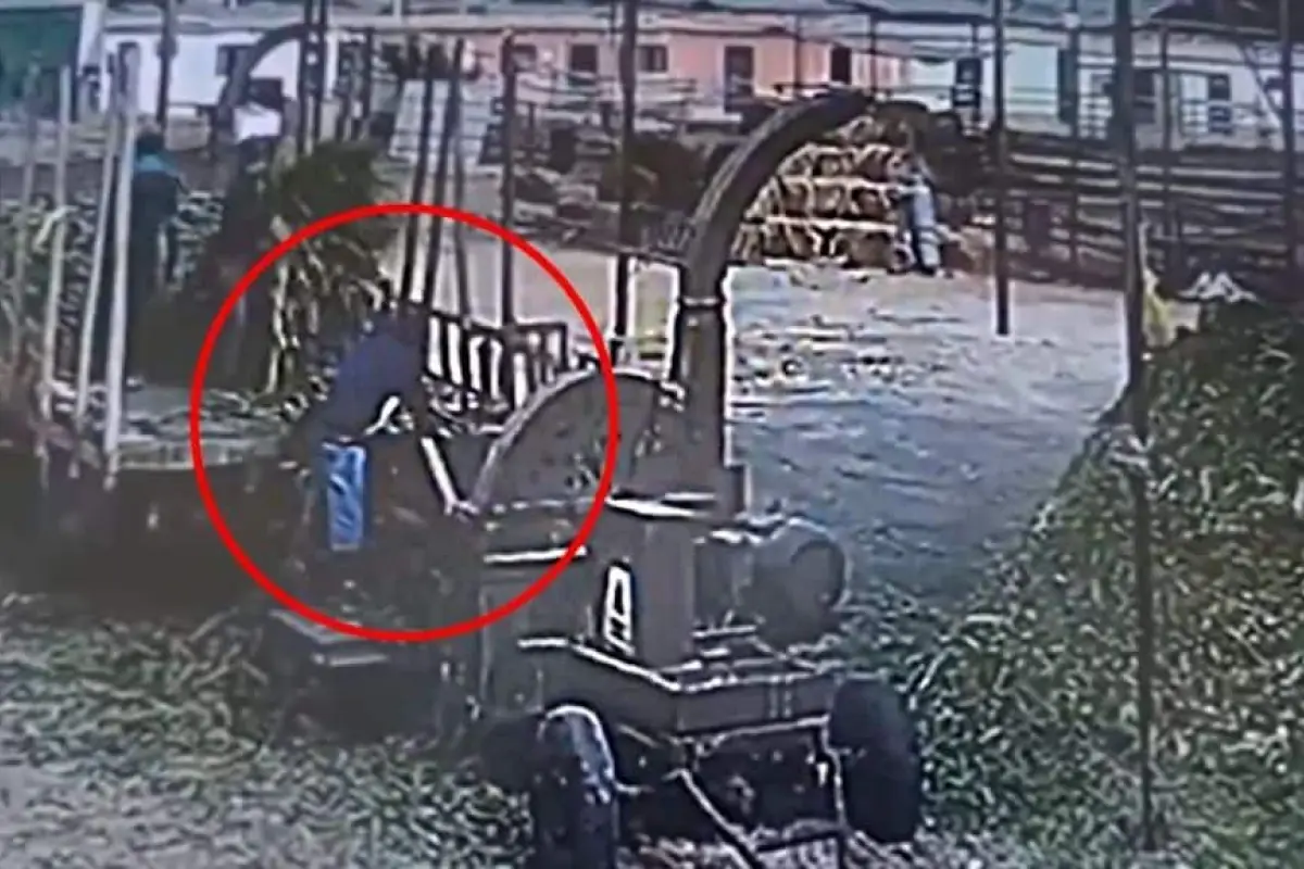 muere-trabajador-cae-maquina-trituradora-de-alimentos, 