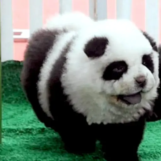 Captura de pantalla video. 