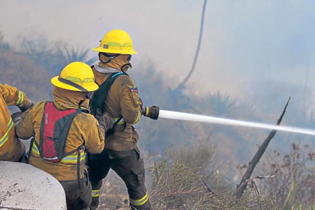 Delicados-pero-estables-3-bomberos-hondurenos-quemados-en-incendio-forestal.jpg, 