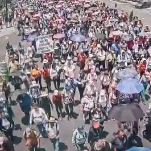 Foto: PMT capitalina/Montejo