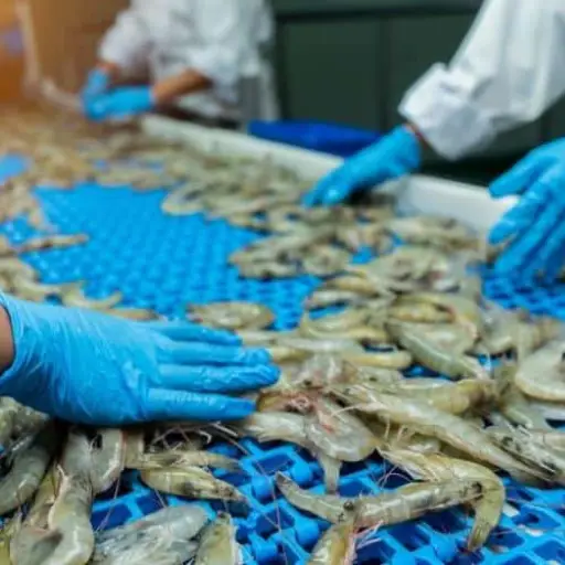 Foto: Gobierno de Guatemala