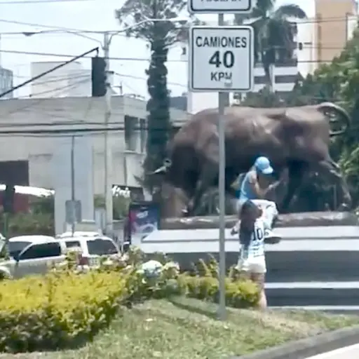 Captura de pantalla video X