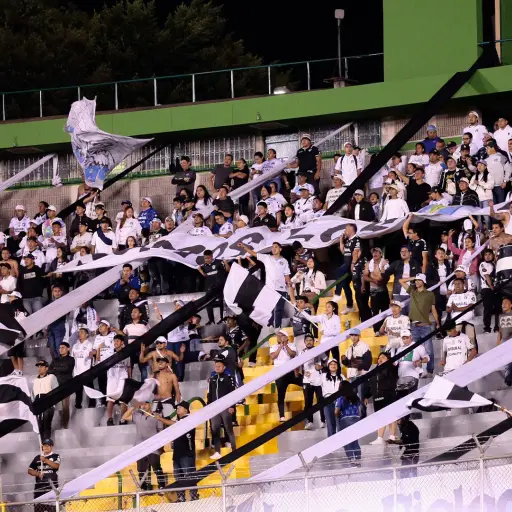 Foto: Comunicaciones 