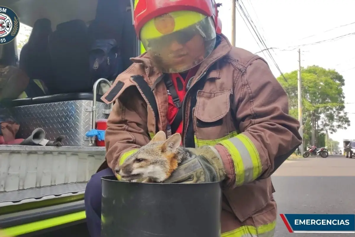 Foto: Bomberos Municipales