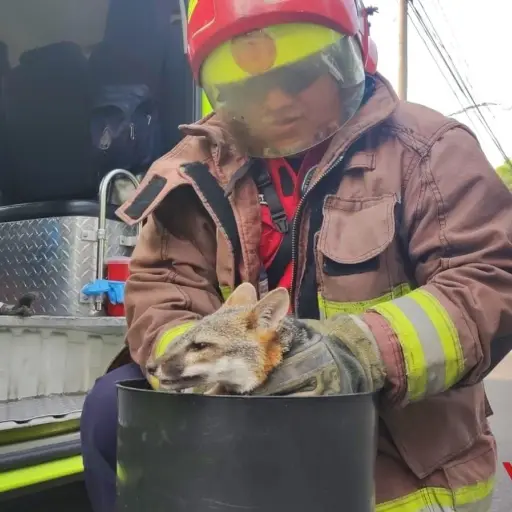 Foto: Bomberos Municipales
