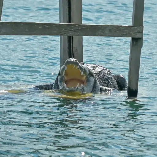 Imagen con fines ilustrativos. Foto: LKS Fotographi