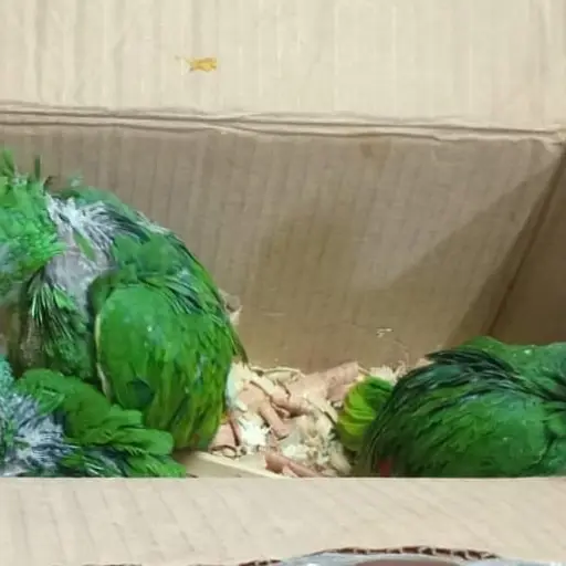 Foto: Ministerio Público