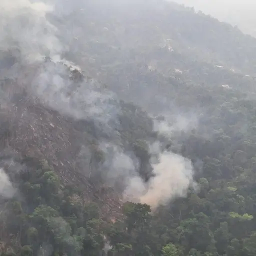 Fiscalía investiga incendio ,