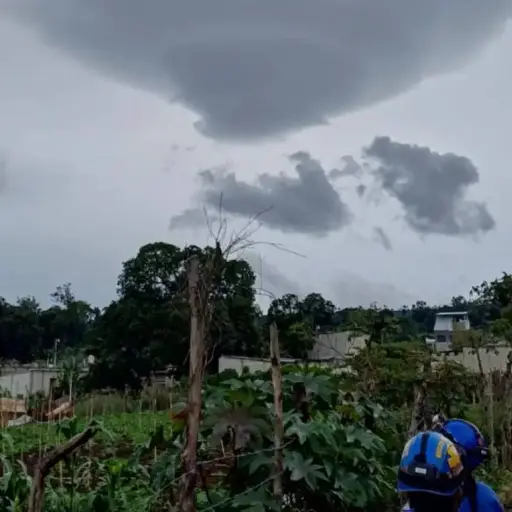 Foto: @JoseGJua20/X.