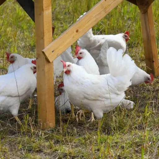 Imagen con fines ilustrativos | pixabay