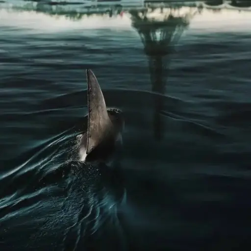 En las Profundidades del Sena (2) ,