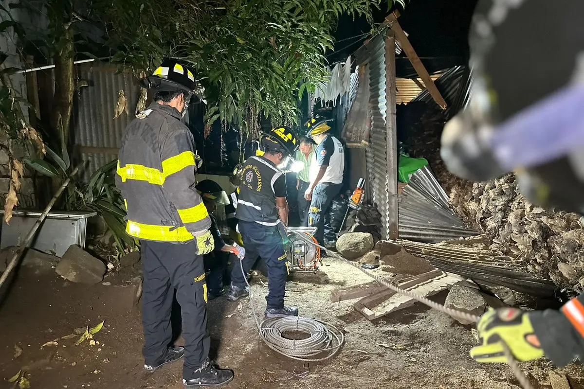 Bomberos Voluntarios reportaron que el madero se desprendió desde la raíz.