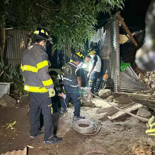 Bomberos Voluntarios reportaron que el madero se desprendió desde la raíz.