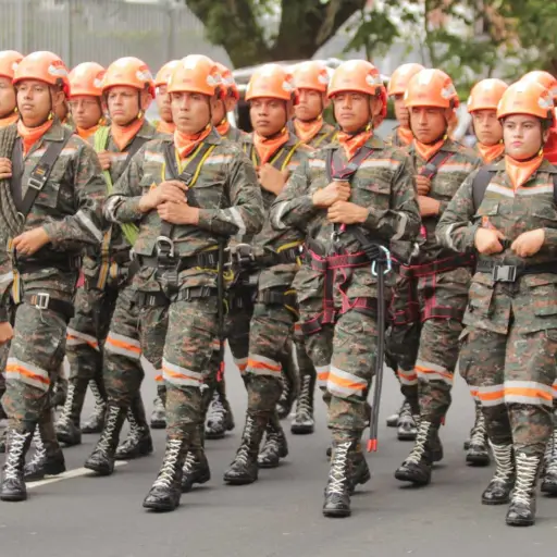 Los integrantes de las brigadas contra incendios forestales recibieron el aplauso del público. Foto: Álex Meoño.