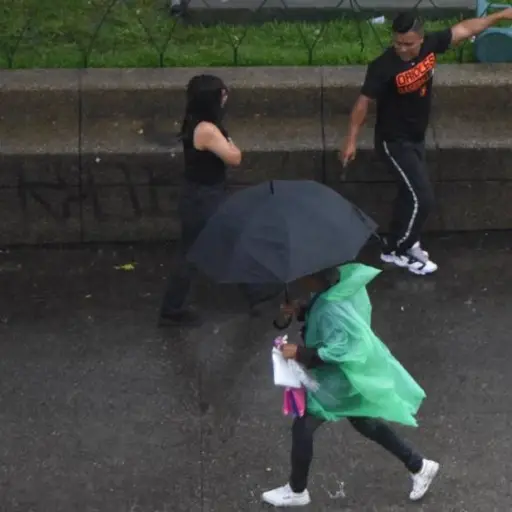 Foto: Omar Solís/EU