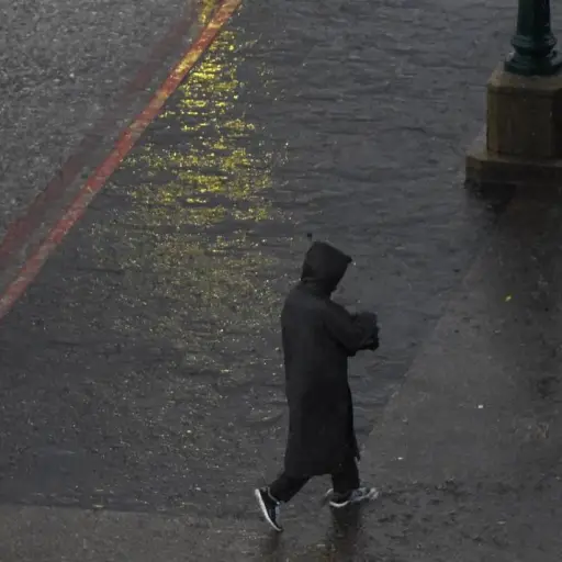 Foto: Omar Solís/EU