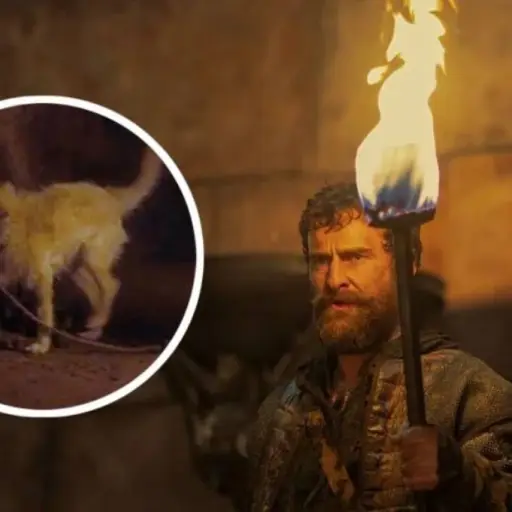 House of the dragon ,