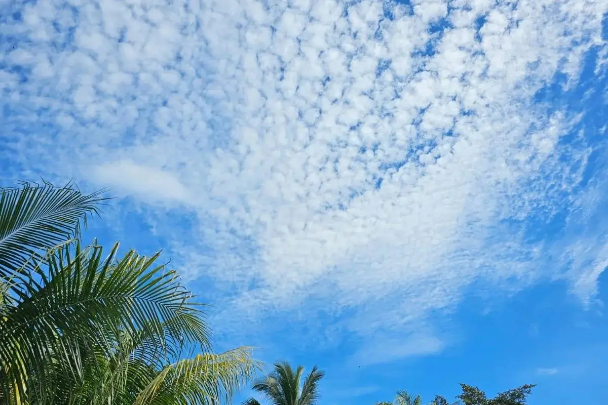 Cielo en la Costa Sur, 