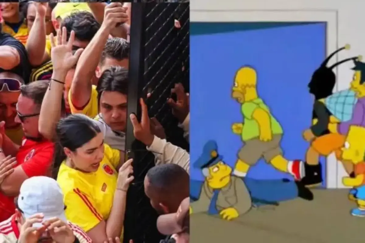 los-simpson-predijeron-disturbios-final-copa-america, 