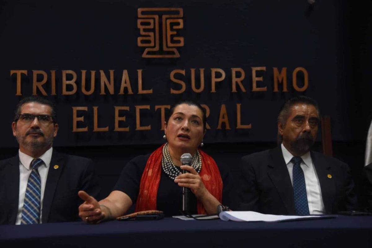 Magistrados suplentes del TSE accionan ante la CC