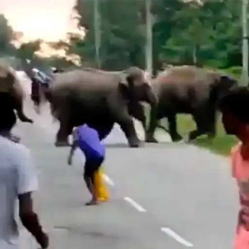 Captura de pantalla video. 