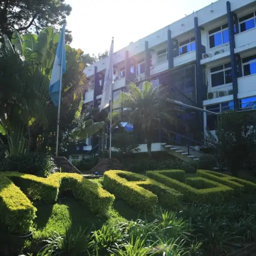 ministerio-agricultura-ganaderia-y-alimentacion-maga-2024 ,