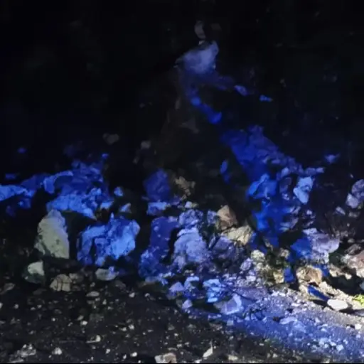 Autoridades locales accionaron para liberar el derrumbe de la Ruta Nacional 1. Foto: Conred.