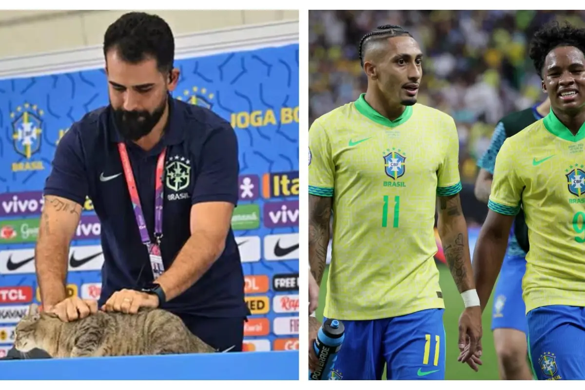 maldicion-del-dato-con-brasil-copa-america-2024-julio-2024.webp, 