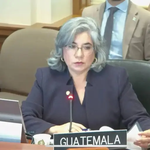 Claudia Escobar presidirá comisión de Asuntos Jurídicos de la OEA ,