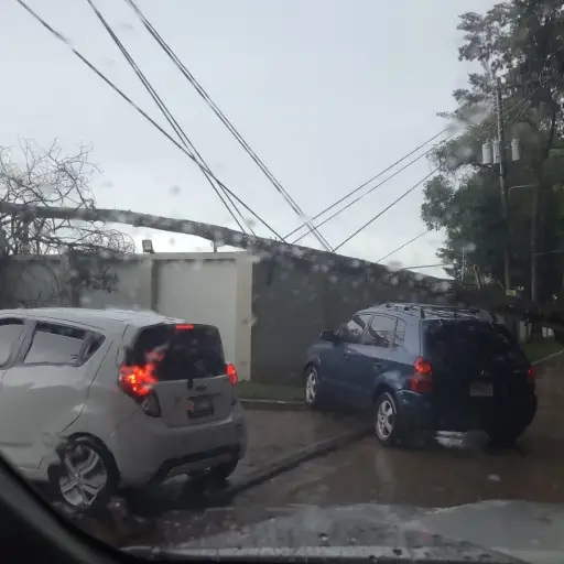 El colapso de un árbol causó complicaciones en el km. 26.6 de la ruta a Santa Elena Barillas, Villa Canales. ?: Conred.