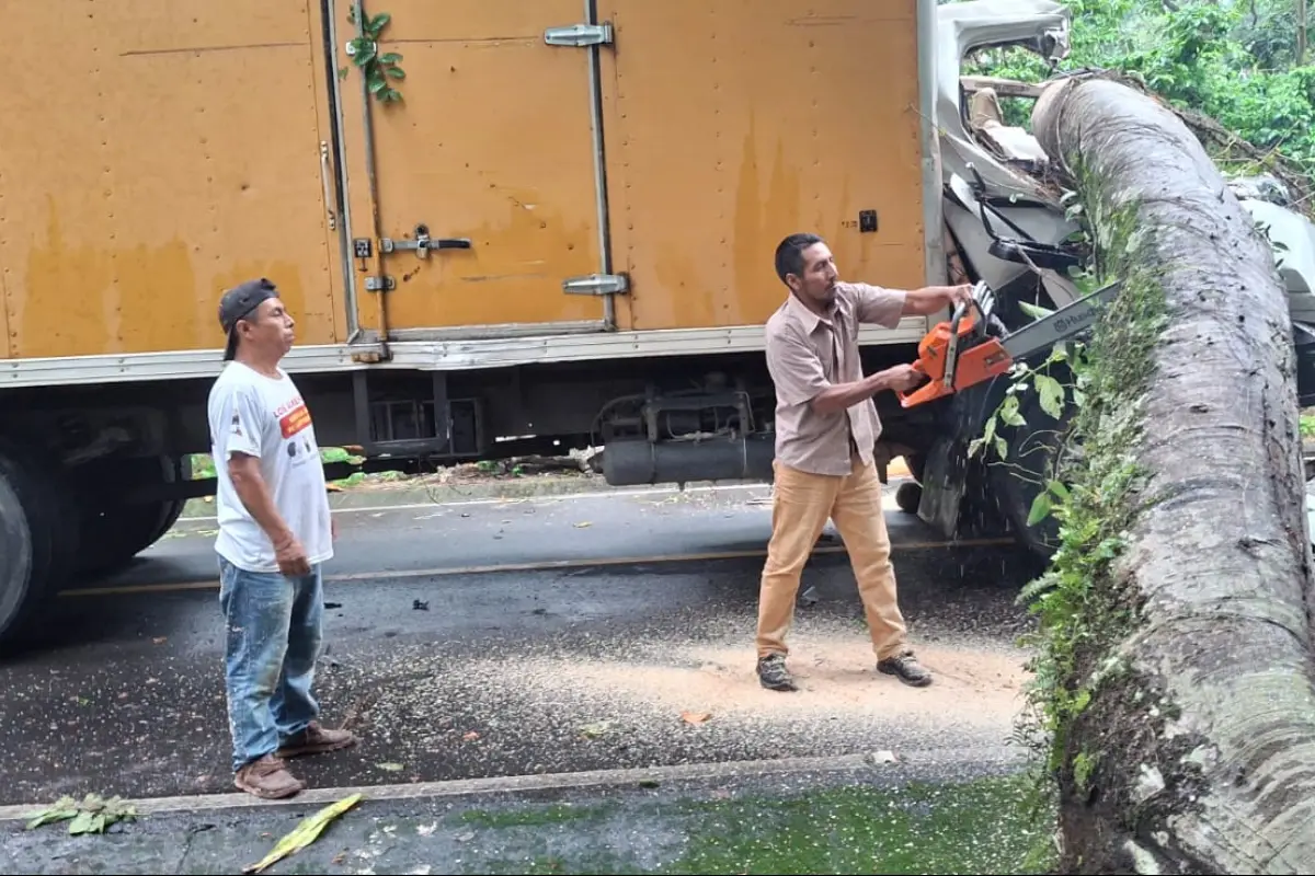 Con la ayuda de vecinos, el árbol fue removido de la vía. Foto: Conred. 