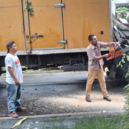 Con la ayuda de vecinos, el árbol fue removido de la vía. Foto: Conred. 