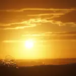 Imagen con fines ilustrativos | pixabay