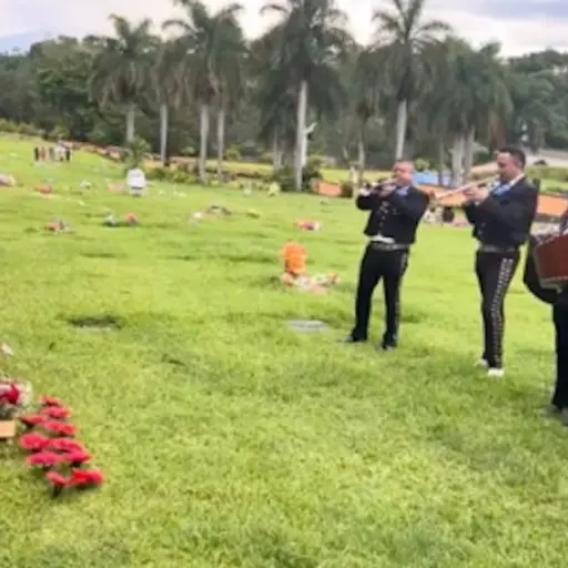 Captura de pantalla video. 