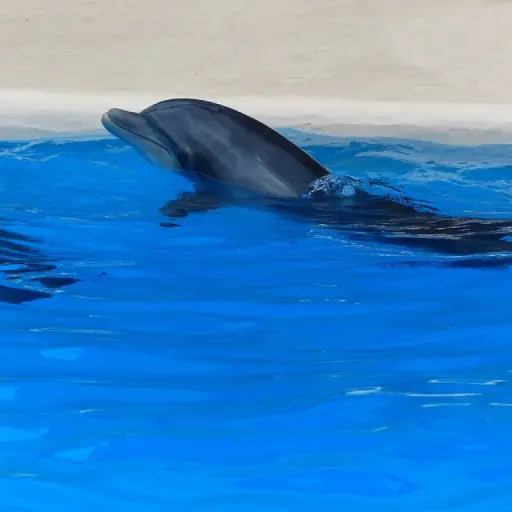 Imagen con fines ilustrativos | pixabay